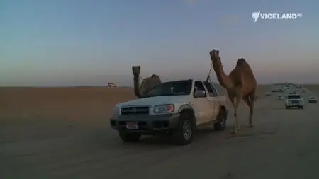 VICE - Miss Camel Beauty Contest (2016)
