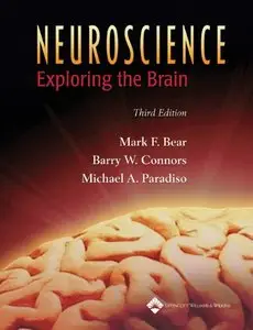 Neuroscience: Exploring the Brain [Repost] 