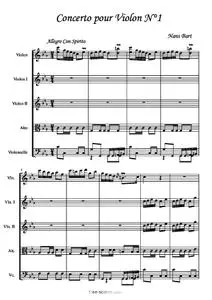 1er Mouvement du Concerto pour Violon N°1