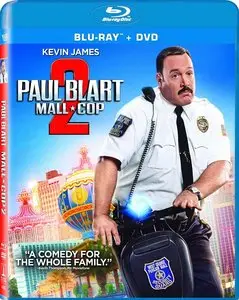 Paul Blart: Mall Cop 2 (2015)