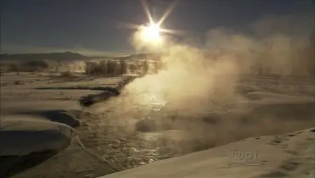 PBS Nature - Christmas in Yellowstone (2006)