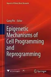 Epigenetic Mechanisms of Cell Programming and Reprogramming