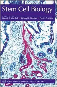 Stem Cell Biology by David Gottlieb