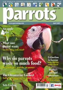 Parrots – April 2021