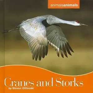Cranes and Storks (Animals Animals) (repost)