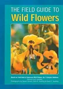 The Field Guide to Wild Flowers by Carol Southby