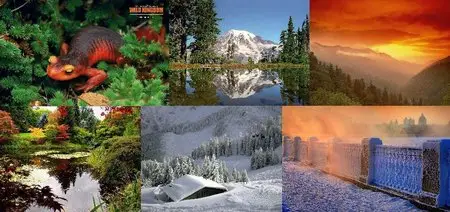 Nature Wallpapers 3