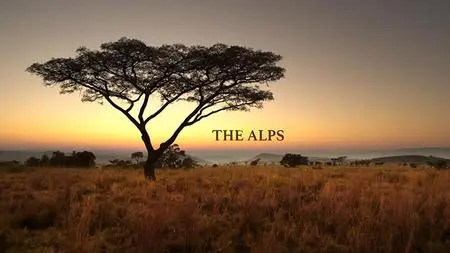 PBS Nature - The Alps (miniseries) (2021)