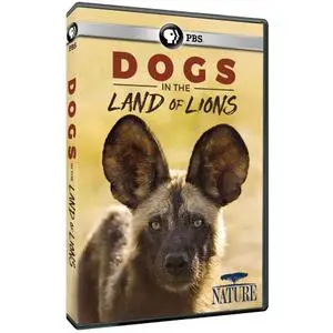 PBS - NATURE: Dogs in the Land of Lions (2018)