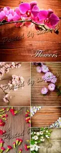 Stock Photo - Flowers on Wooden Backgrounds