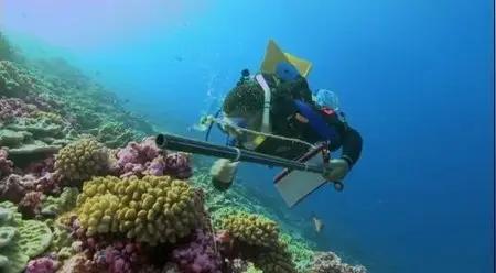 Journey To Shark Eden (2010)