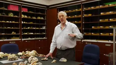 Curiosity TV - Breakthrough: Little Foot Exploring Our Origins (2019)