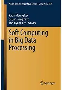 Soft Computing in Big Data Processing [Repost]