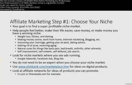 No Cost Affiliate Marketing For Beginners (2016)
