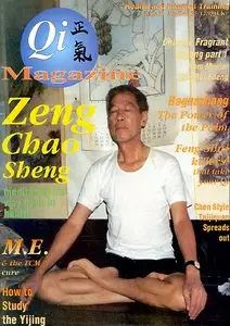 Qi Magazine 21