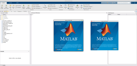 MathWorks MATLAB R2020b macOs / Linux