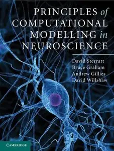 Principles of Computational Modelling in Neuroscience (Repost)