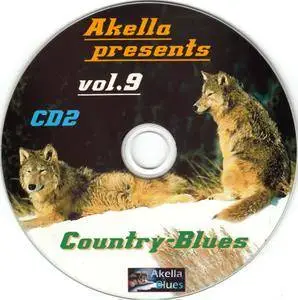 VA - Akella Presents vol.9 (2013)