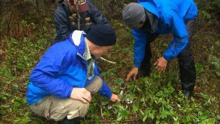 Smithsonian Earth - Great Lakes Wild: Series 1 (2017)