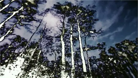 Naqoyqatsi (2002)