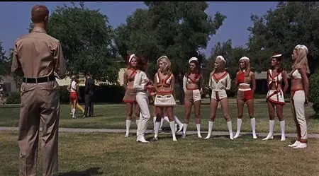 The Ambushers (1967)