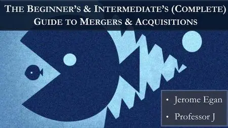 The Beginner’s and Intermediate's (Complete) Guide to M&A