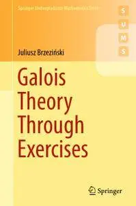 Galois Theory Through Exercises (Repost)