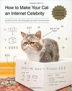 How to Make Your Cat an Internet Celebrity: A Guide to Financial Freedom (repost)