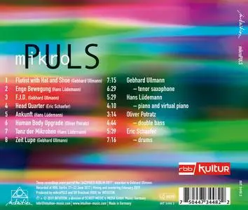 Gebhard Ullmann, Hans Lüdemann, Oliver Potratz & Eric Schaefer - mikroPULS (2019)