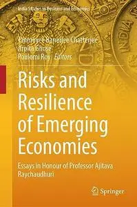 Risks and Resilience of Emerging Economies