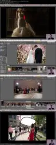 Lighting Evolution