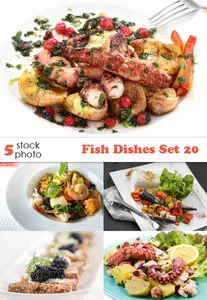 Photos - Fish Dishes Set 20