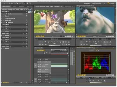 Adobe Premiere Pro CS5 5.5.1 (Mac Os X)