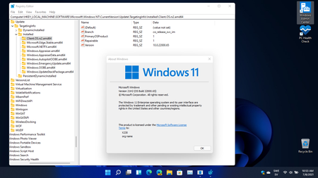 Windows 11 Version 21H2 Build 22000.65 Insider Preview