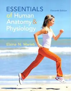 Essentials of Human Anatomy & Physiology (11th Edition)