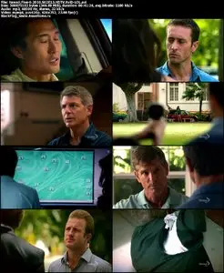 Hawaii Five-0 2010 S02E13 "Ka Ho'oponopono (The Fix)"