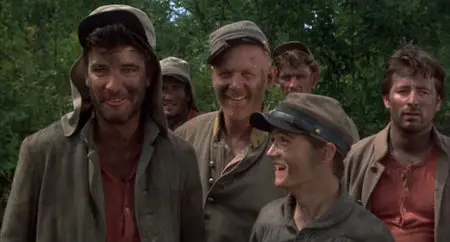 Shenandoah (1965)