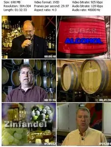 Wineworks – A Complete Video Guide To Wine