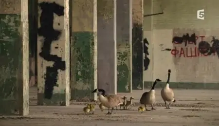 (Fr5) Londres sauvage (2012)