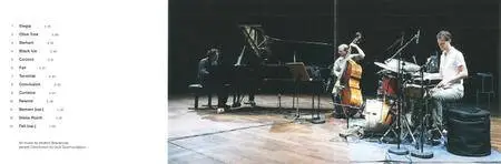 Wolfert Brederode Trio - Black Ice (2016) {ECM 2476}
