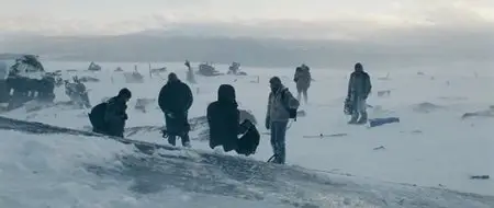 The Grey (2011)