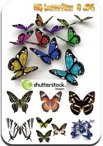 Butterflies
