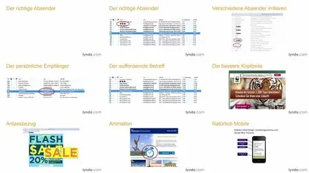 Video2Brain - E-Mail-Marketing – Grundlagen