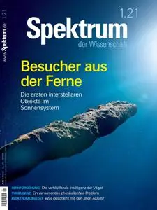 Spektrum der Wissenschaft – 12 Dezember 2020
