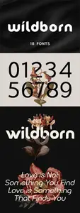 Wildborn - Logo Font C4TPTTG