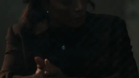 9-1-1 S08E16
