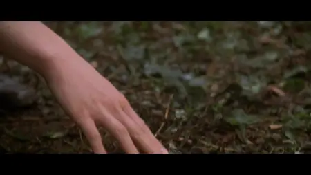 Gojira Mosura Kingu Gidora Daikaijû sôkôgeki (2001)
