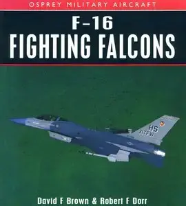 F-16 Fighting Falcons (Osprey Military Aircraft) (Repost)