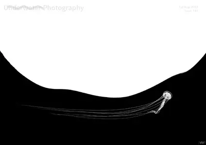 Underwater Photography - July-August 2025