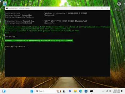 Windows 11 Pro/Enterprise 24H2 Build 26100.4351 (No TPM Required) Preactivated Multilingual June 2025